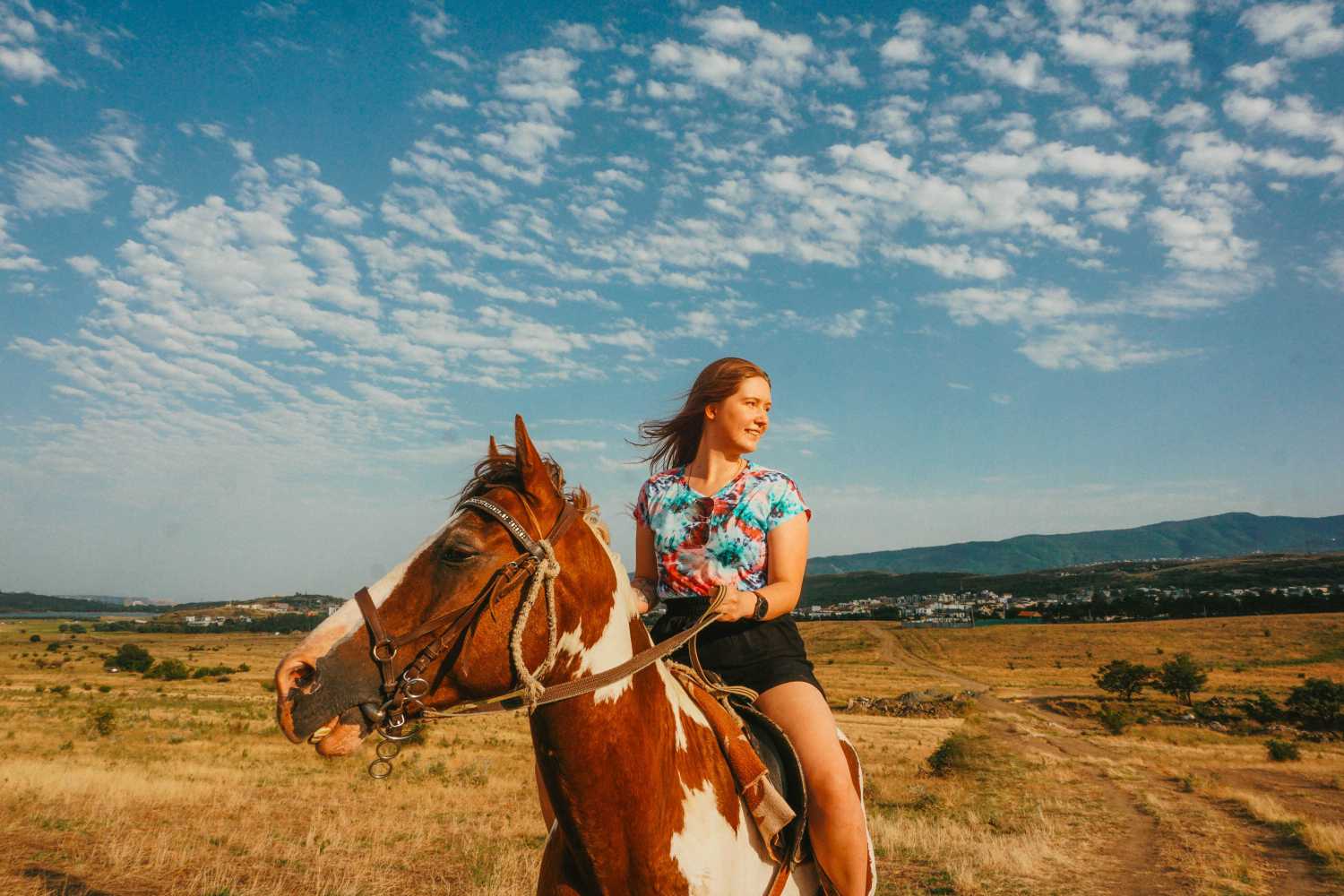 Horse riding tours in Tbilisi