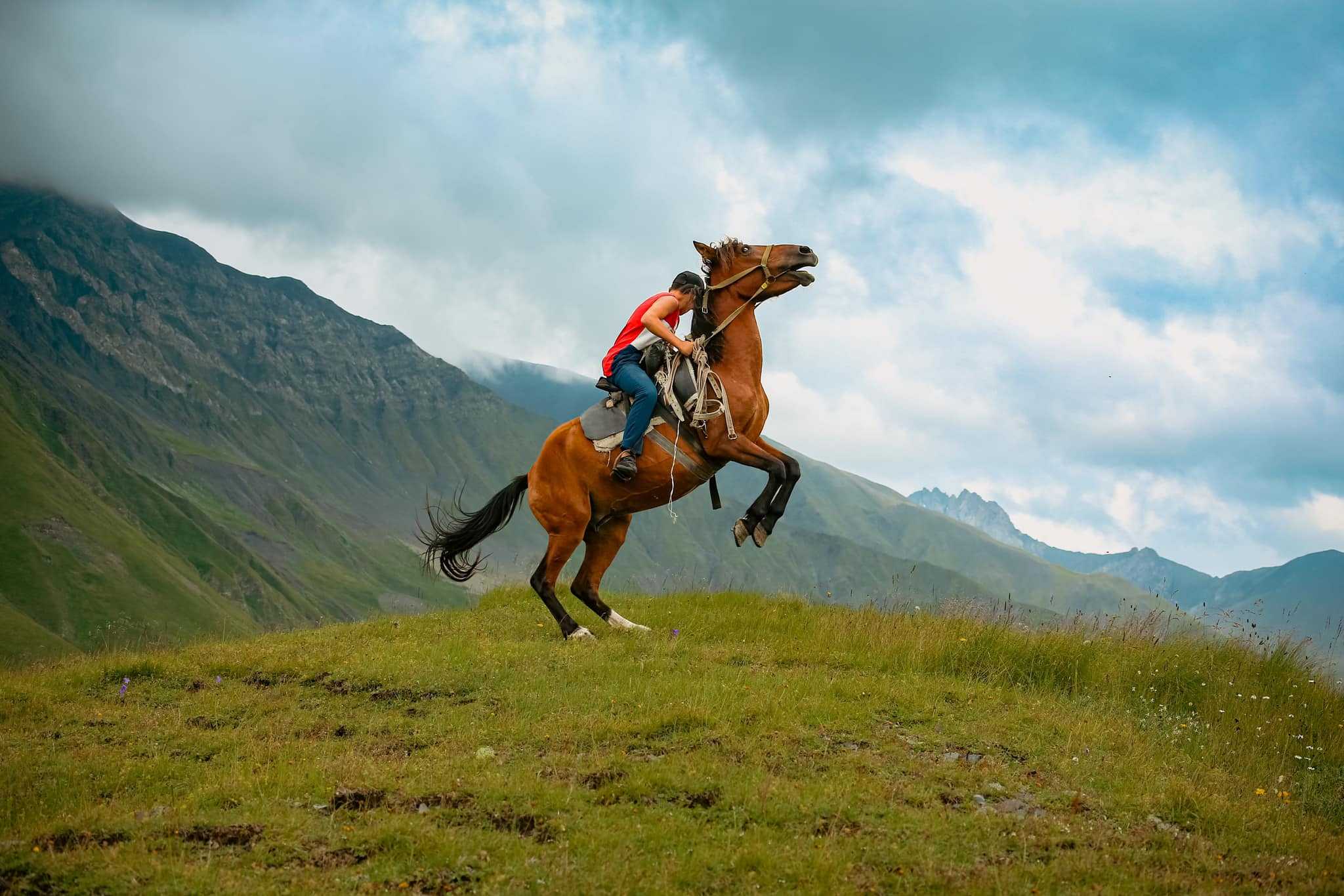 📸Photo by Anana Photography 
Horse advanture Caucasus Mountains